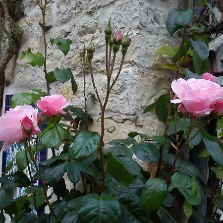 Le Clos Des Treilles 3*