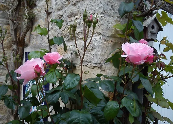 Le Clos Des Treilles 3*